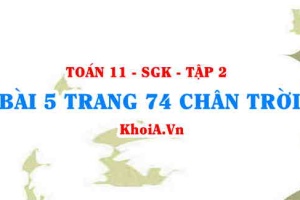 Bài 5 trang 74 Toán 11 Tập 2 Chân trời sáng tạo